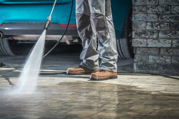 Best Roof Cleaning and Mildew Removal in Canton, NC
