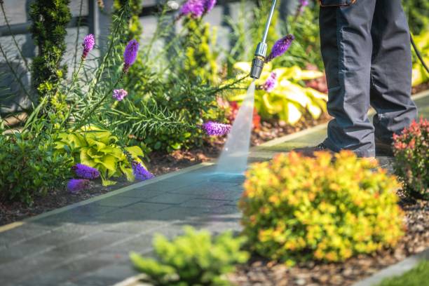 Best Gutter Cleaning and Brightening in Canton, NC